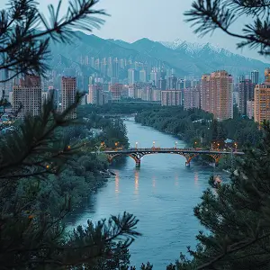 为什么需要预购电脑